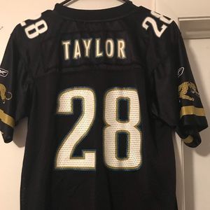 Fred Taylor Reebok jersey,size large